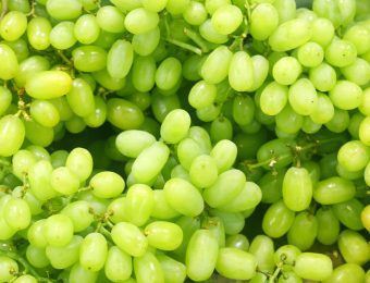 hormonas de enraizamiento